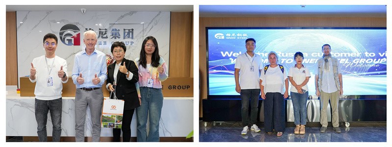 high strength low alloy high strength low alloy